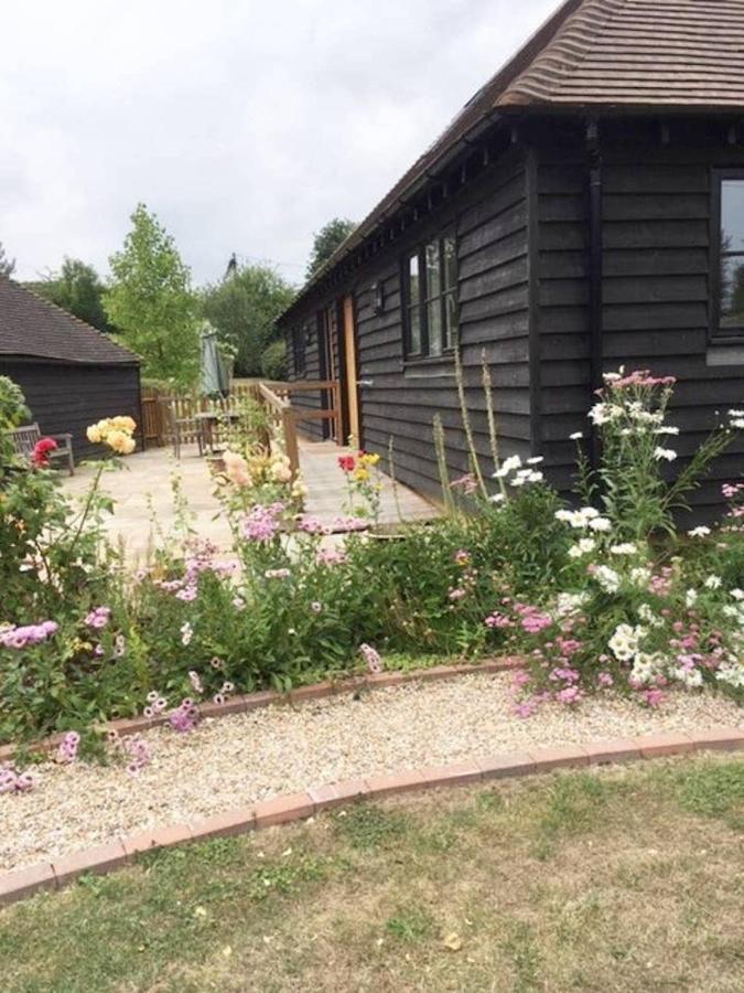 Orchard Cottage كانتربيري المظهر الخارجي الصورة